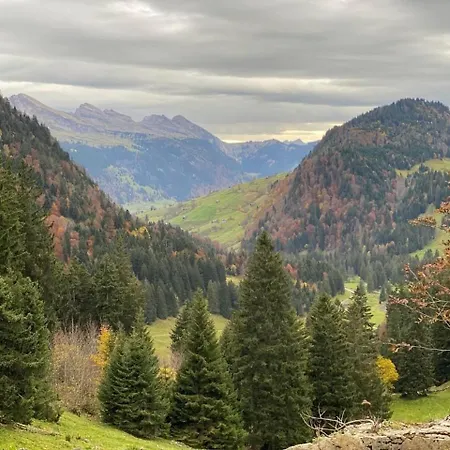 Haus Zum Reh * Krummenau